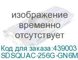 SDSQUAC-256G-GN6MN