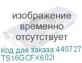 TS16GCFX602I