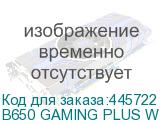 B650 GAMING PLUS WIFI