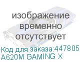 A620M GAMING X