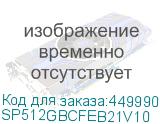 SP512GBCFEB21V10