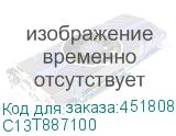 C13T887100