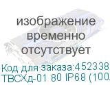 ТВСХд-01 80 IP68 (100л/имп) NEW