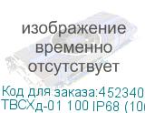 ТВСХд-01 100 IP68 (100л/имп) NEW