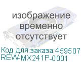 REW-MX241P-0001