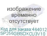 SP256GBSDXCU3V10