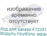 Модуль Keystone экранированный, RJ45, cat.6,180°, под инструмент, металлик SB