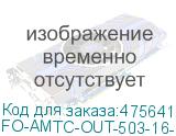 FO-AMTC-OUT-503-16-PE