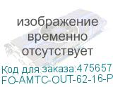 FO-AMTC-OUT-62-16-PE