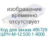 ШРН-М-12.500.1-9005