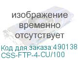 CSS-FTP-4-CU/100