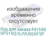 SP016GXLWU60AFSF