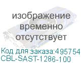 CBL-SAST-1286-100