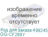GG-CF289Y