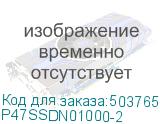 P47SSDN01000-2