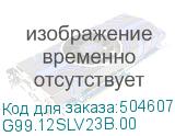 G99.12SLV23B.00