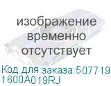 1600A019RJ