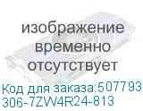 306-7ZW4R24-813