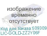 LIC-GOLD-ZZ2Y06F