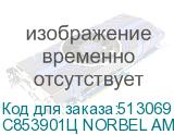 C853901Ц NORBEL AMD Athlon 3000G / 8GB / SSD 256GB / DOS