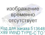 X89 WIND TYPE-C TO TYPE-C