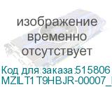MZILT1T9HBJR-00007_DELL