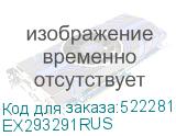 EX293291RUS