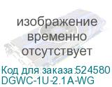 DGWC-1U-2.1A-WG