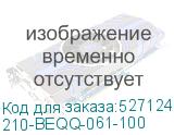 210-BEQQ-061-100