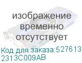 2313C009AB