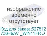 736H9AV _WIN11PRO