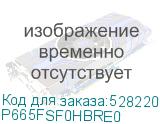 P665FSF0HBRE0