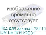 DM-LED75UQB31