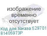 81405973P