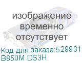 B850M DS3H