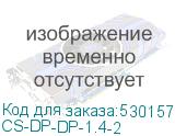 CS-DP-DP-1.4-2