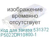 P5022DR10800-1