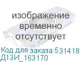 Д13И_163170
