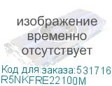 R5NKFRE22100M