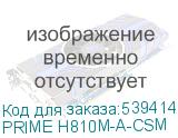 PRIME H810M-A-CSM