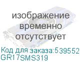 GR17SMS319