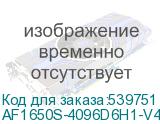 AF1650S-4096D6H1-V4