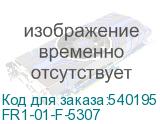 FR1-01-F-5307