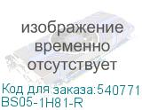 BS05-1H81-R