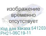PH21-06C19-11