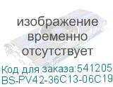BS-PV42-36C13-06C19-13
