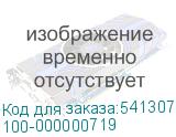 100-000000719