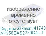 AP256GAS2280Q4L-1