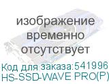 HS-SSD-WAVE PRO(P) 256G