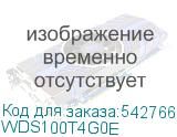WDS100T4G0E